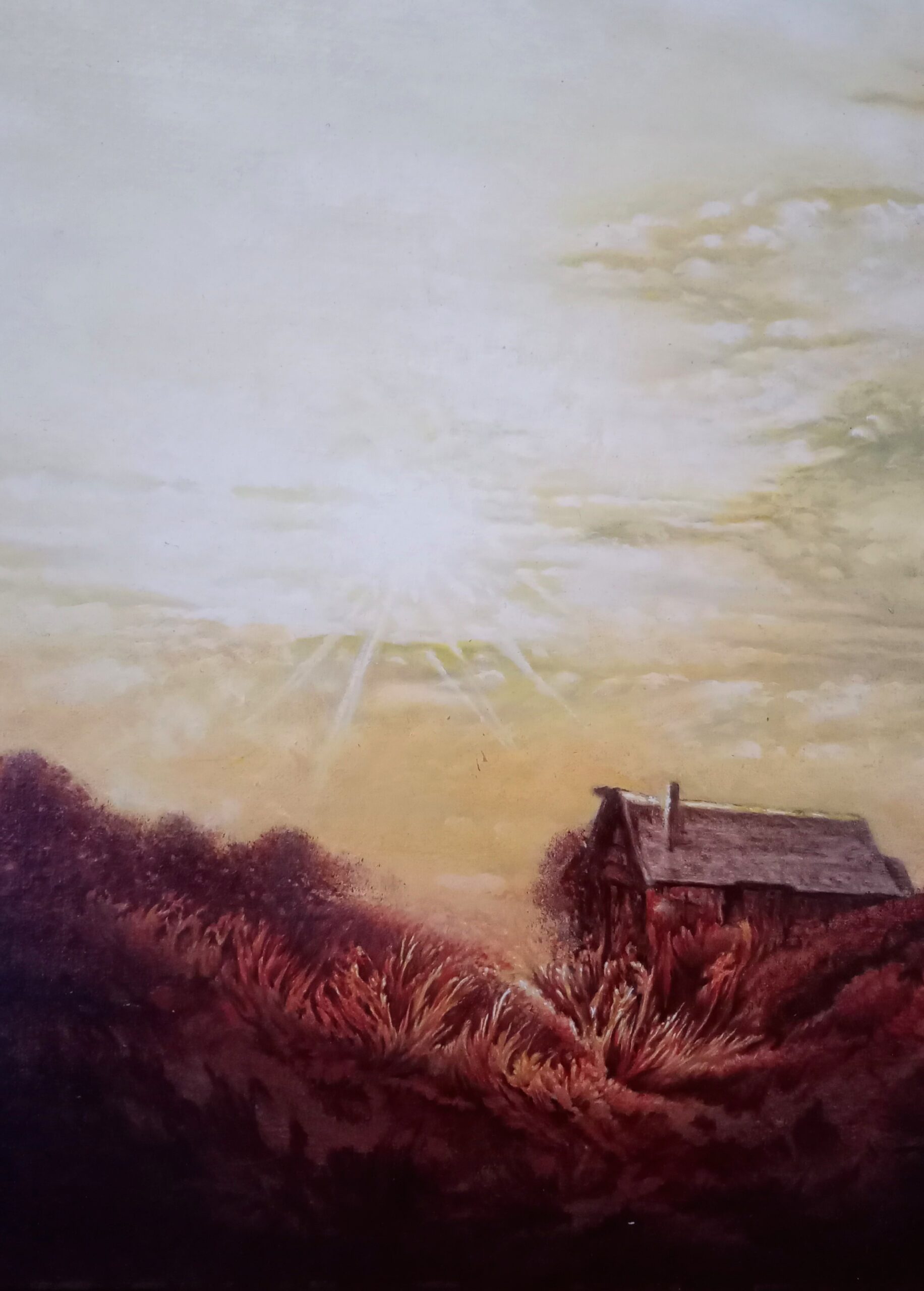 La casa di Van Gogh - immagine 2